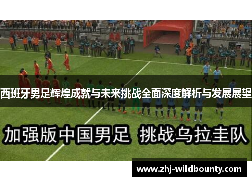 西班牙男足辉煌成就与未来挑战全面深度解析与发展展望