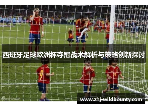 西班牙足球欧洲杯夺冠战术解析与策略创新探讨
